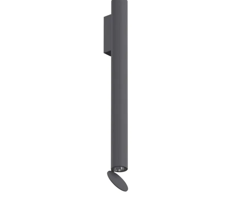 Applique*Flos Applique d'extérieur, Flauta riga 2, , IP65, LED, dim, 2700K, 694 lm, Ø4,5cm, H50cm - anthracite