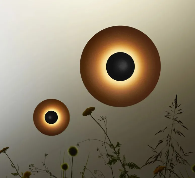 Applique*Marset Applique d'extérieur, Ginger 60C, , IP65, LED, dim, 2700K, 2933 lm, Ø60cm, P16,4cm - Marron rouille