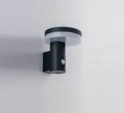 Applique*Nedgis Applique d'extérieur solaire, Enya, , IP44, LED, 4000K, 600 lm, Ø15,7cm, H16,2cm - anthracite