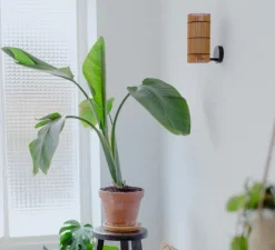 Applique murale, Foc S, marron, Ø10cm, H21cm - Mediterranean objects