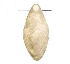 Applique*Celine Wright Applique murale, NID, , H50cm - Celine-Wright blanc