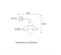 Applique*Moretti Luce Applique murale, Patio 1353, , verre transparent, IP44, L36,5cm, H35cm - Cuivre laiton vieilli