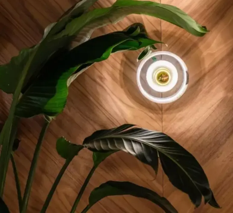 Applique*Tom Dixon Applique murale, Stone, , IP44, LED, dim, 3000k, 360 lm, L18cm, H18cm - blanc, or