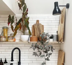 Applique*Anglepoise Applique murale, Type 75, , interrupteur, Ø14,5cm, H19cm, P32cm - noir