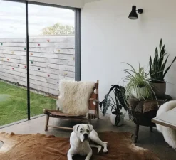 Applique*Anglepoise Applique murale, Type 75, , interrupteur, Ø14,5cm, H19cm, P32cm - noir