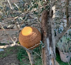 Enfants|Lampe*Luxcambra Baladeuse d'extérieur, Terra S, , IP67, LED, dim, 3000K, 290 lm, Ø18cm, H20cm - liège