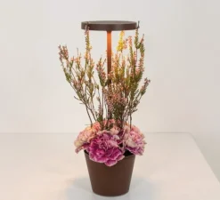 Lampe*Zafferano Baladeuse, Poldina Reverso, , IP54, LED, dim, 2200-2700-3000K, 241-250-262 lm, Ø11cm, H35cm - Corten