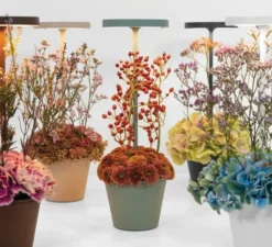 Lampe*Zafferano Baladeuse, Poldina Reverso, , IP54, LED, dim, 2200-2700-3000K, 241-250-262 lm, Ø11cm, H35cm - Corten