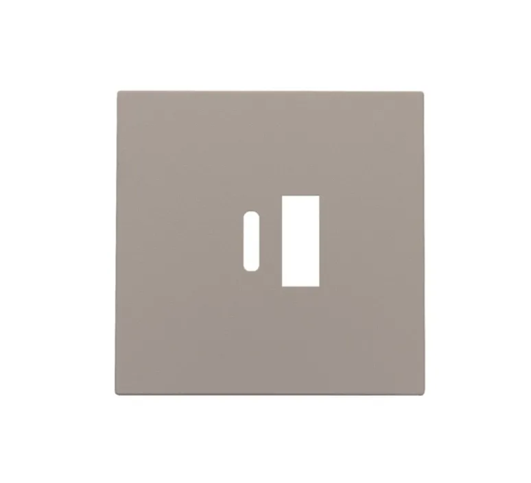 Prise*Niko Enjoliveur, Intense, Simple, Bronze coated, Prise-USB A/C x1, L4,4cm, H4,4cm -