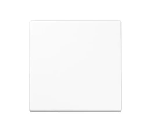 Enjoliveur, LS 990, Simple, Blanc brillant, Interrupteur x1, L7cm, H7cm - Jung