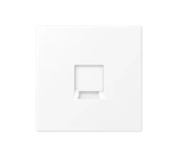 Enjoliveur, LS 990, Simple, Blanc mat, Prise-RJ45 Modular Jack x1, L7cm, H7cm - Jung