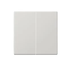 Interrupteur*Jung Enjoliveur, LS 990, Simple, Gris clair, Interrupteur x2, L7cm, H7cm -