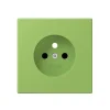 Prise*Jung Enjoliveur, LS 990, Simple, Le Corbusier Vert 31 32051, Prise-2P+T x1, L8,5cm, H6,7cm -