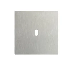 Interrupteur*Font Barcelona Façade, 5.1, Bridge, Simple, Acier inox brossé, Interrupteur x1, L9cm, H9cm -