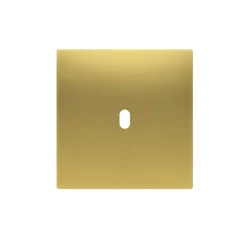 Interrupteur*Font Barcelona Façade, 5.1, Bridge, Simple, Laiton doré brossé mat, Interrupteur x1, L9cm, H9cm -