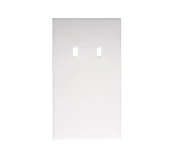 Façade, Bridge, Double vertical, Blanc mat, Interrupteur x2, Prise-USB A/C x1, L9cm, H16,1cm - Font Barcelona