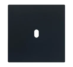 Interrupteur*Font Barcelona Façade, Bridge, Simple, Noir mat, Interrupteur x1, L9cm, H9cm -