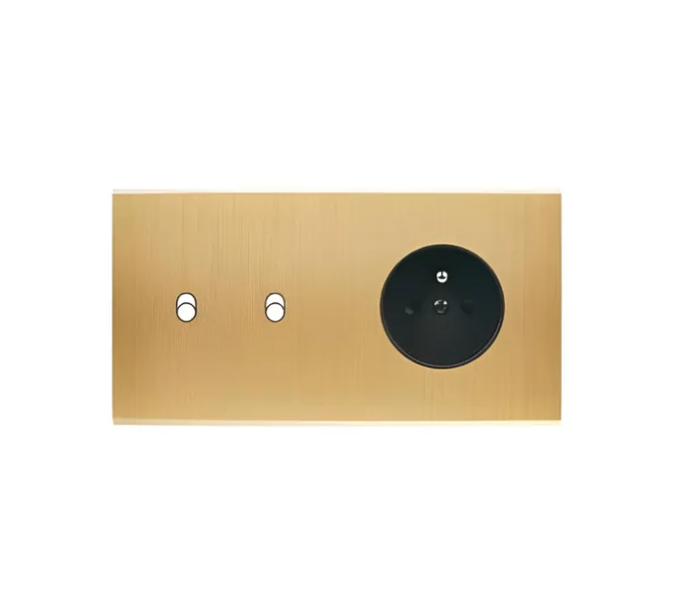 Façade, Confidence, Double horizontal, Laiton brossé, Interrupteur x2 et Prise-PC x1, L15cm, H8cm - Modelec