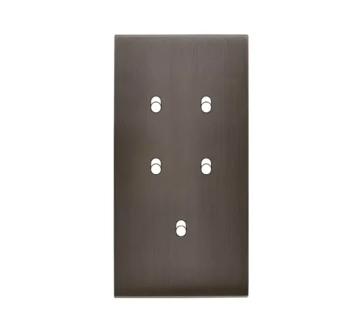 Façade, Confidence, Double vertical, Canon de fusil, Interrupteur x2, Interrupteur x2, Interrupteur x1, L8cm, H15,1cm - Modelec
