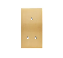 Interrupteur*Modelec Façade, Confidence, Double vertical, Laiton brossé, Interrupteur x1, Interrupteur x2, L8cm, H15,1cm -
