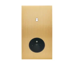 Interrupteur|Prise*Modelec Façade, Confidence, Double vertical, Laiton brossé, Interrupteur x1, Prise-2P+T x1, L8cm, H15,1cm -