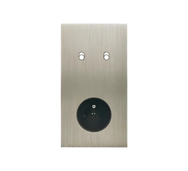 Interrupteur|Prise*Modelec Façade, Confidence, Double vertical, Acier brossé, Interrupteur x2 et Prise-PC x1, L8cm, H15.1cm -