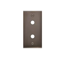 Façade, Confidence, Etroit, Canon de fusil, Interrupteur x2, L4cm, H8cm - Modelec