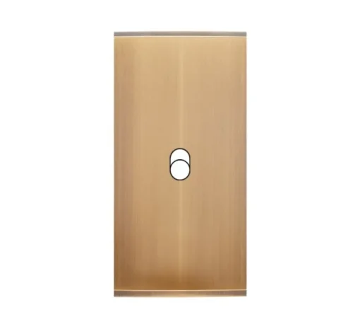Façade, Confidence, Etroit, Vieux bronze, Interrupteur x1, L4cm, H8cm - Modelec