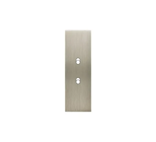 Façade, Confidence, Etroit-long, Acier brossé, Interrupteur x2, L4cm, H12,5cm - Modelec