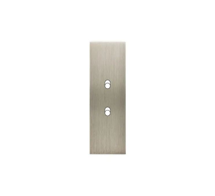 Façade, Confidence, Etroit-long, Acier brossé, Interrupteur x2, L4cm, H12,5cm - Modelec