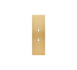 Interrupteur*Modelec Façade, Confidence, Etroit-long, Laiton brossé, Interrupteur x2, L4cm, H12,5cm -