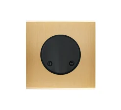 Accessoires*Modelec Façade, Confidence, Simple, Laiton brossé, Sortie de câble x1, L8cm, H8cm -