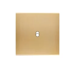Façade, Confidence, Simple, Laiton brossé, Interrupteur x1, L8cm, H8cm - Modelec