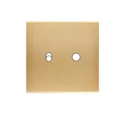 Façade, Confidence, Simple, Laiton brossé, Interrupteur x2, Levier et push, L8cm, H8cm - Modelec