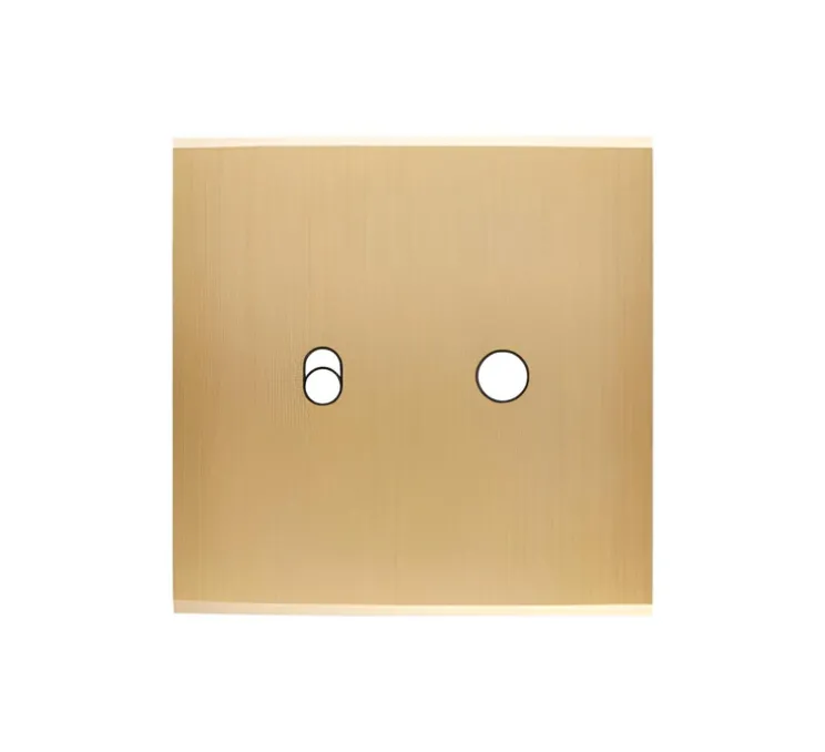 Façade, Confidence, Simple, Laiton brossé, Interrupteur x2, Levier et push, L8cm, H8cm - Modelec