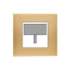 Accessoires*Modelec Façade, Confidence, Simple, Laiton brossé, Détecteur de présence x1, L8cm, H8cm -