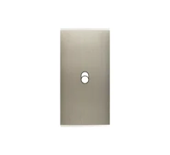 Interrupteur*Modelec Façade, Confidence, Étroit, Acier brossé, Interrupteur x1, L4cm, H8cm -