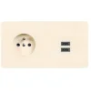 Façade, M, Double horizontal, Ivoire, Prise-2P+T x1, Prise-USB C x2, L15,1cm, H8cm - Modelec
