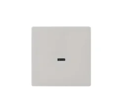 Façade, M, Simple, Nickel sablé, Prise-USB C Charge rapide x1, L8cm, H8cm - Modelec