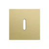 Façade, Rocker, Simple, Alu gold brushed, Interrupteur x1, L9,5cm, H9,5cm - Niko