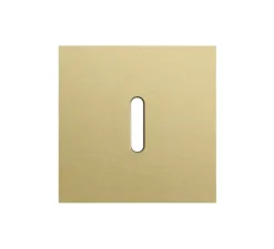 Façade, Rocker, Simple, Alu gold brushed, Interrupteur x1, L9,5cm, H9,5cm - Niko