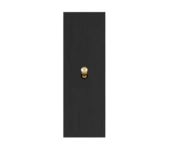 Interrupteur, Allure, Etroit-long, Noir brossé, Simple-allumage x1, Laiton, L4cm, H13cm - 6ixtes