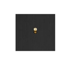 Interrupteur, Allure, Simple, Noir brossé, Simple-allumage x1, Laiton, L8cm, H8cm - 6ixtes