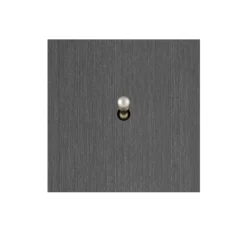 Interrupteur, Allure, Simple, Canon de fusil, Simple-allumage x1, Nickel, L8cm, H8cm - 6ixtes