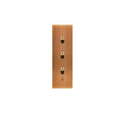 Interrupteur*Modelec Interrupteur avec gravure, Confidence, Etroit long, Vieux bronze, Va-et-vient x2 et Poussoir x1, Laiton, L4cm, H12,5cm -