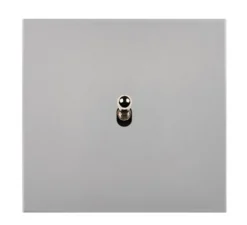 Interrupteur, Désir, Simple, Aluminium mat, Va-et-vient ou poussoir x1, Acier, L8,5cm, H8,5cm - Modelec