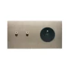 Prise|Interrupteur*Modelec Interrupteur et Prise, Confidence, Double horizontal, Acier brossé, Poussoir x2, Prise-2P+T x1, Acier, L15,1cm, H8cm -