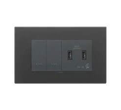 Prise|Interrupteur*Vimar Interrupteur et prise, Eikon Exé, Double horizontal, Noir satiné, Poussoir x2, Prise-USB-C x2, Gris, L18cm, H14,1cm -