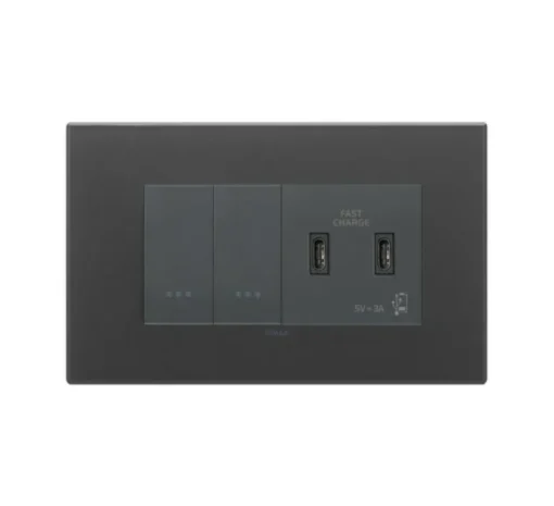 Prise|Interrupteur*Vimar Interrupteur et prise, Eikon Exé, Double horizontal, Noir satiné, Poussoir x2, Prise-USB-C x2, Gris, L18cm, H14,1cm -