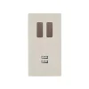 Prise|Interrupteur*Modelec Interrupteur et Prise, M, Double vertical, Nickel brossé, Va-et-vient ou poussoir x2, Canon de fusil, Prise USB A/C x1, L8cm, H15,1cm -